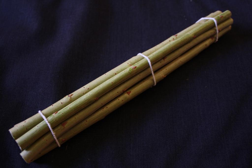 Saule OSIER - Viminalis - Sarda Vert
