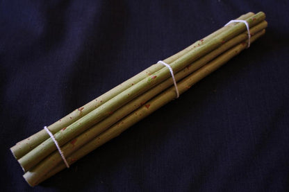 Saule OSIER - Viminalis - Sarda Vert